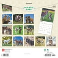 thumbnail image 2 of BrownTrout, Donkeys 2025 Wall Calendar, 2 of 9