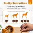 thumbnail image 4 of Zesty Paws Allergy & Immune Bites Salmon Flavor Dog Supplement, 160 Count, 4 of 9