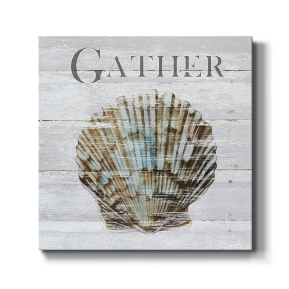 Shell Gather-Premium Gallery Wrapped Canvas - Ready to Hang
