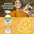 Natural Care PlantBased Urine Destroyer for Dogs and Cats 32 oz