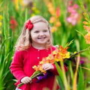 Colorful Mix Gladiolus - 40 Bulbs - Red, Yellow, White, Pink, Orange Flowers Attracts Butterflies, Bees & Hummingbirds - Perennial Garden Plants