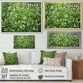 thumbnail image 4 of Designart "Oregano Hues of Herbs IV" Floral Framed Wall Art Decor - Traditional Green Herbs Entryway Framed Wall Art Print, 4 of 6