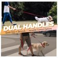 thumbnail image 2 of wqlpp-Twingrip Laisse pour Chien, Laisse Double Poignée pour l'Entraînement et la Marche avec Poignée de Circulation et 2 Boucles, Contrôle de Circulation Réfléchissant Robuste pour Chiot Animal de Compagnie, 4 Pieds x 1/2 Po, Rouge, 2 of 4