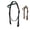 Black, variant on Majestic Ally Padded Leather Brow Band Headstall for Horses