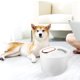 thumbnail image 4 of BRIGHTFUFU 1Jgo De Para Mascotas Con Material PP Y Capacidad Amplia Para Perros Y, 4 of 8