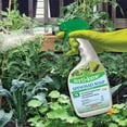 thumbnail image 3 of Ferti-lome Spinosad Soap RTU -Controls Insects - 32 fl oz Bottle by VPG, 3 of 3