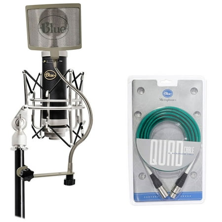 - Blue Baby Bottle SL Studio Condenser Recording Microphone Mic+Cable+Filter+Case