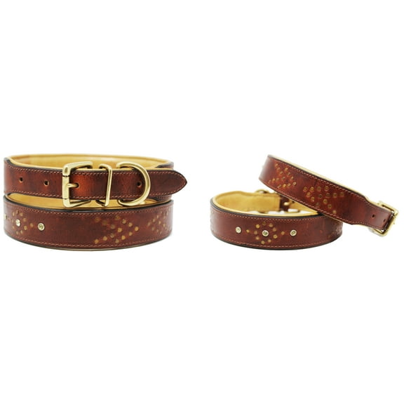 Small 13''- 17'' Soft Genuine Leather Padded Dog Puppy Collar 60AA254TN