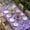 Purple, variant on Beige Brown Green Table Cloths for 6 Foot Rectangle Tables, Retro Botanical Abstract Art Patio Waterproof Elastic Fitted Tablecloths, Washable Rectangular Table Cover for Camping