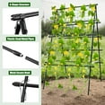 thumbnail image 3 of Sedeke 6ft Cucumber Trellis for Raised Bed, Garden Trellis for Climbing Plants Outdoor, A Frame Metal Trellis Support with Net for Vegetables Vines, 3 of 7
