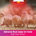 thumbnail image 3 of Lámpara de calor infrarrojo LUCKY HERP 250W para pollos y mascotas, 3 of 7