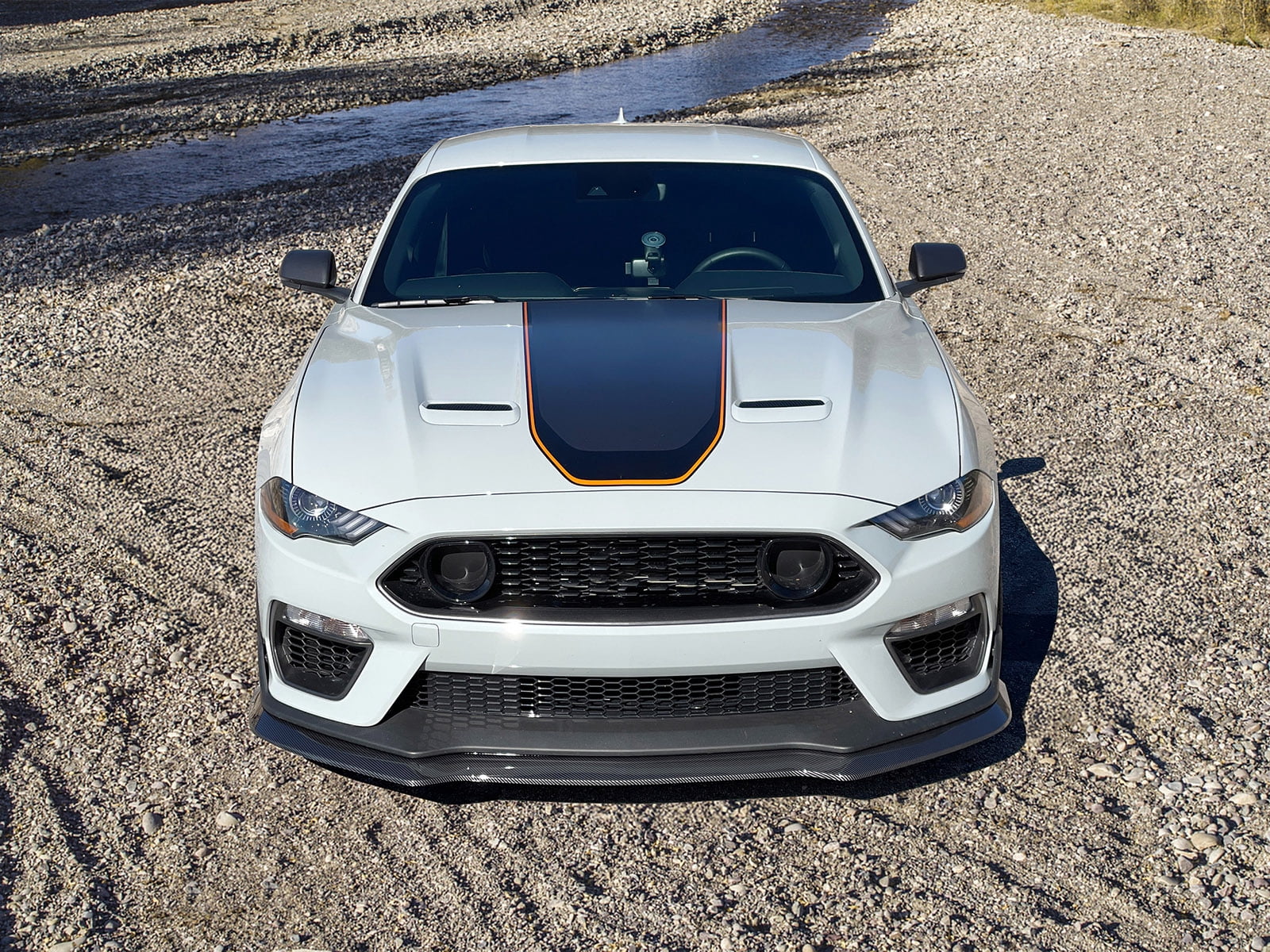 Ikon Motorsports Front Bumper Lip Compatible With 2021-2023 Ford Mustang Mach 1, Carbon Fiber Print PP Polypropylene Handling Package Style Front Lower Chin Lip Splitter Protector
