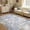 Glacier Blue, variant on UERMEI 9'x12' Large Area Rugs for Living Room, Washable Non-slip Soft Indoor Modern Abstract Rug for Bedroom Dining Room Office Home Decor Carpet,Brown
