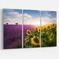 thumbnail image 1 of Designart - Lavender and Sunflower Fields - Floral Canvas Art Print, 1 of 3