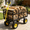 Black + Garden & Outdoor + Iron, variant on BIG Wagon Cart Garden cart trucks make it easier to transport firewood Yellow+Black Maximum static load is 880 lbs.