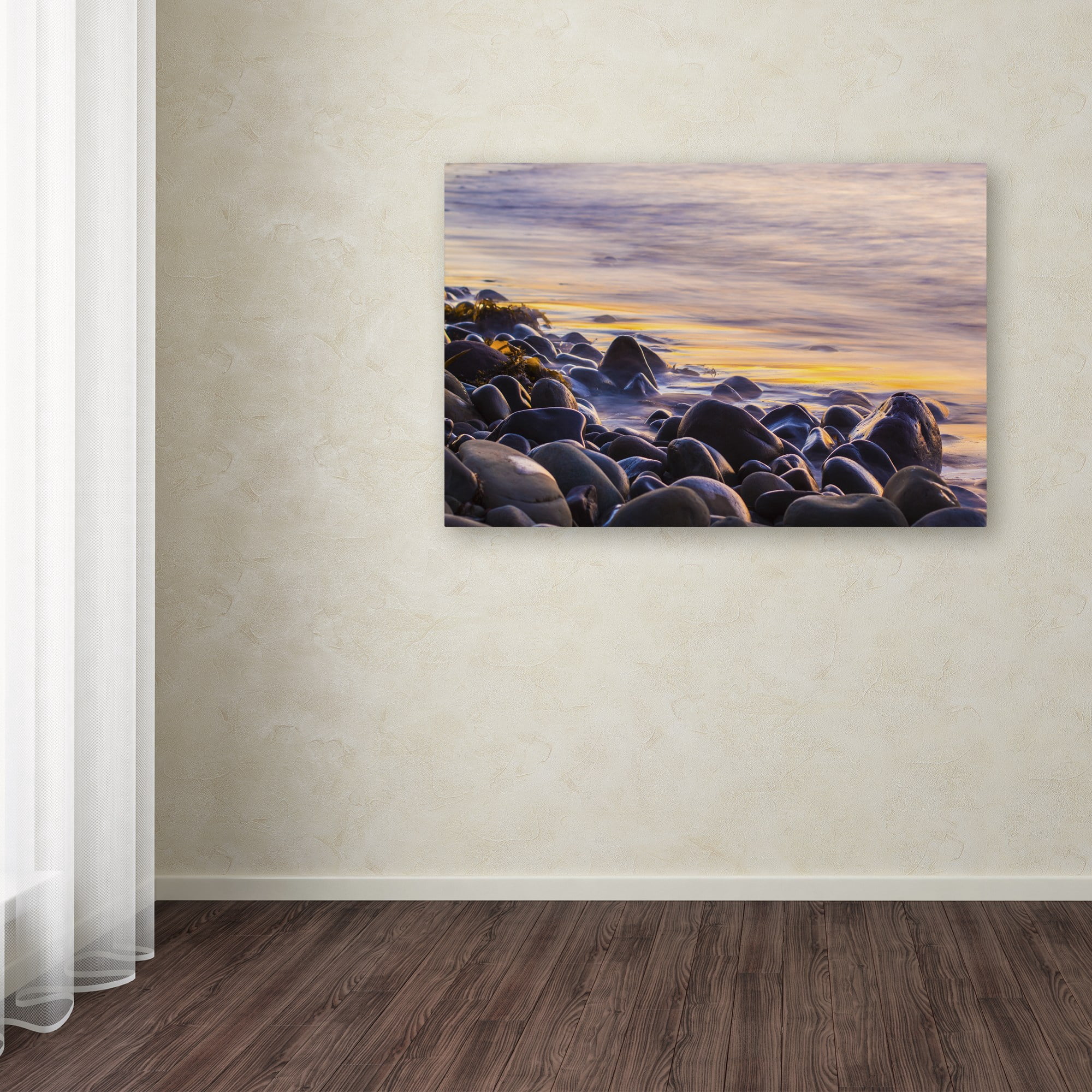 Trademark Fine Art Chris Moyer 'Wet Rock Reflections' 12 x 19 (ALI0767-C1219GG)