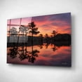 thumbnail image 2 of Epic Art 'Swamp on Fire' by Martin Podt, Acrylic Glass Wall Art, 16"x12", 2 of 3