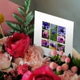 thumbnail image 3 of 3drose, Happy Mothers Day Anemone Collage, 6 Greeting Cards with Envelopes, 3 of 7