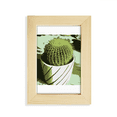 thumbnail image 1 of Mexican Cactus Strong Flower Desktop Display Photo Frame Picture Art Painting 5x7 inch, 1 of 3