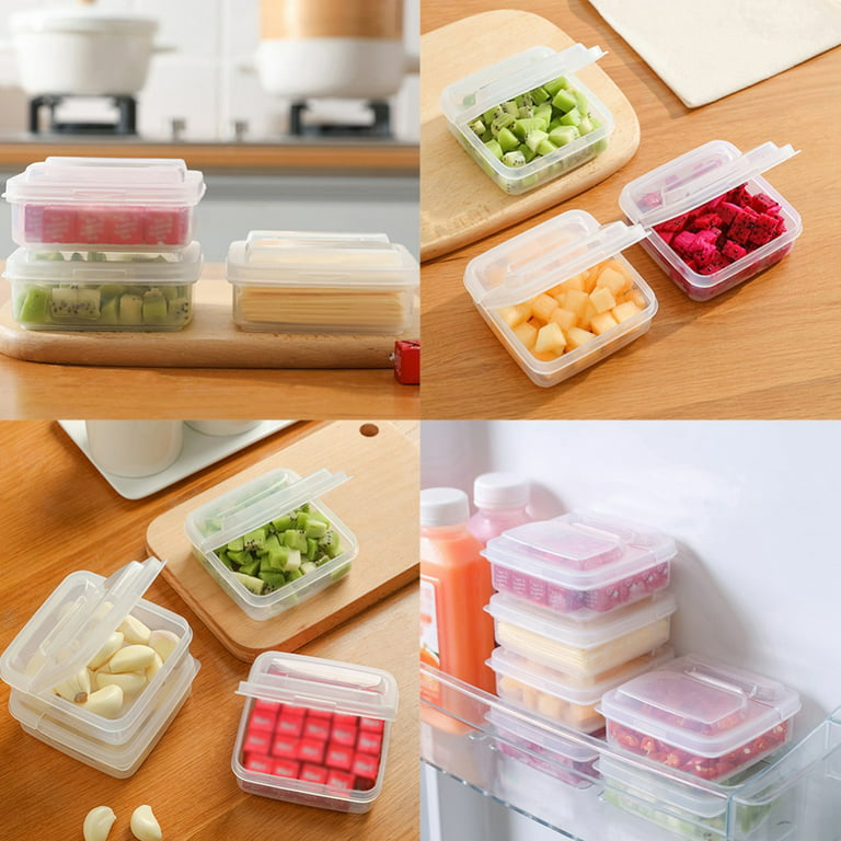 2 Pack-Plastic Storage Containers with lids airtight Cold Cuts Cheese Deli  Meat Saver Food Storage Container for Refrigerators,Freezer, Lunch Box  Cookie Holder meal prep container 