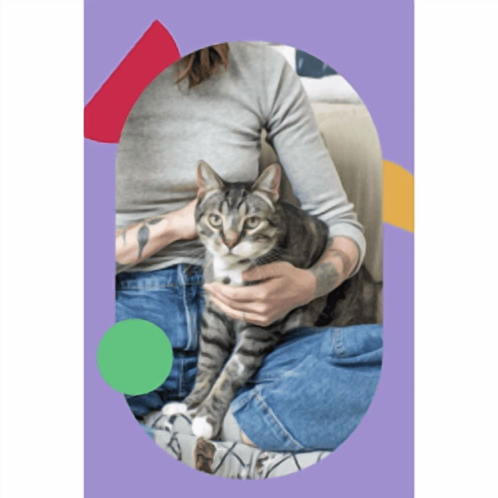 (2 pack) "I and love and you" Treat Meow Squeeze & Thank You Lickable Cat Treat Variety Chicken/Tuna