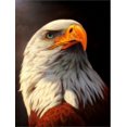 thumbnail image 1 of YEESAM ART New 5D Diamond Painting Kit - Mighty Eagle - DIY Crystals Diamond Rhinestone Painting Pasted Paint by Number, 1 of 5