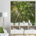 thumbnail image 3 of Design Art - Pics de Bambou dans la Forêt de Kyoto, 3 of 5