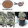 thumbnail image 5 of 6 Pieces Coir Plant Mat, Coir Disc, Coir Mulching Disc, Winter Protection For Potted Plants, Protect The Roots Of Potted Plants, 5 of 5