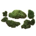 thumbnail image 2 of Vickerman Premium Green Mood Moss, Preserved, 2 of 7