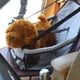 thumbnail image 3 of Bolsa de asiento del portador Wdftyju asiento de coche plegable para perros y gatos gris, 3 of 9