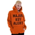 thumbnail image 3 of Major Key Alert Rap Entrepreneur Unisex Plus Fleece Graphic Hoodie Brisco Brands 2X, 3 of 5