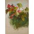 thumbnail image 2 of Jan Ciągliński 11x14 Black Ornate Wood Framed Double Matted Museum Art Print Titled: Vine Leaves, 2 of 5