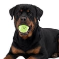 thumbnail image 2 of One Paw, Classic Tennis Ball for Dogs, Green, Multiple Colors Available, 2 of 6
