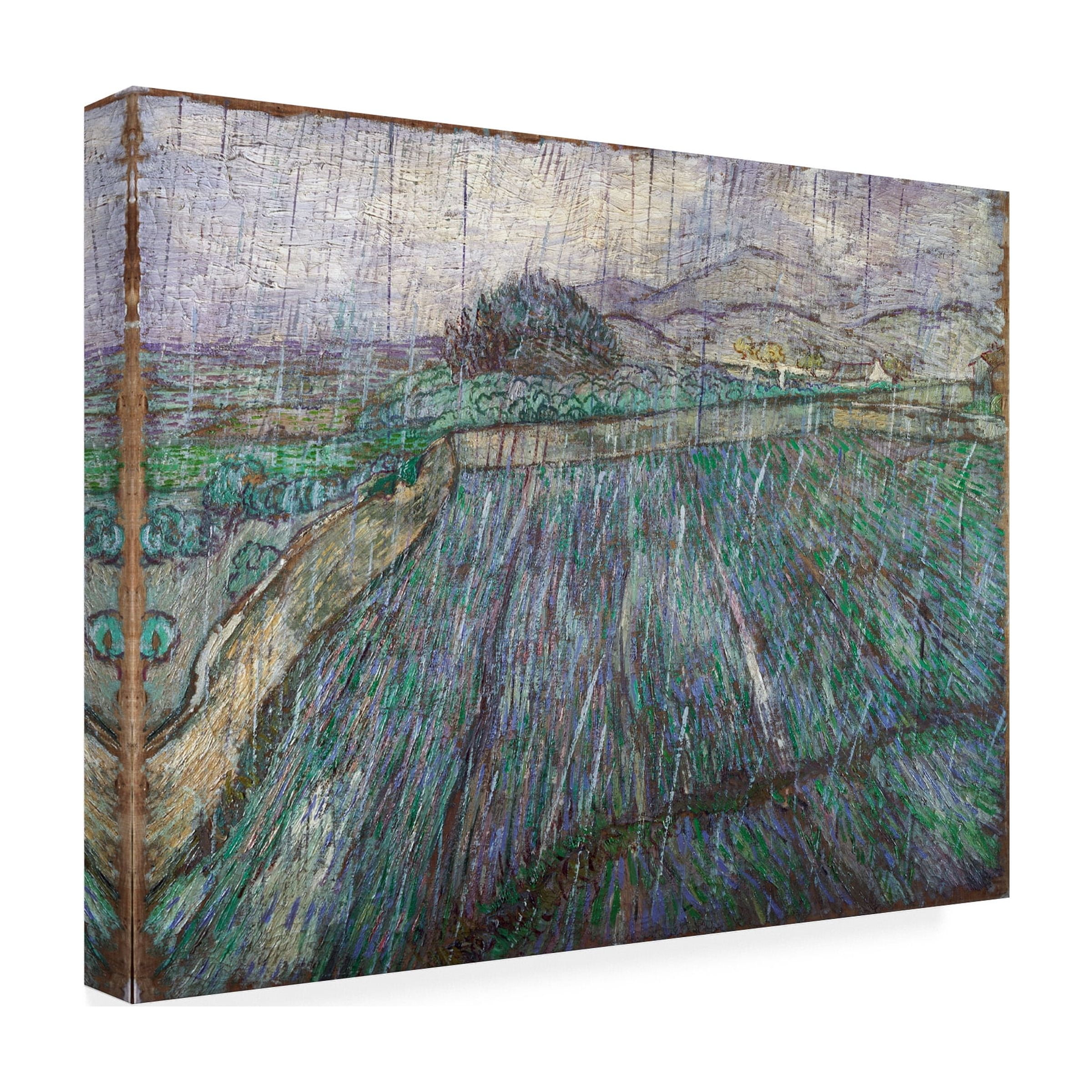 Van Gogh 'Rain' Canvas Art