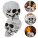 thumbnail image 3 of FELTECHELECTR 2 piezas de calavera artificial de Halloween, adorno de calavera aterradora, accesorios para casa fantasma, suministros para fiestas (4), 3 of 4