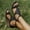 Black, variant on Patlollav Summer Womens Sandals Open Toe Platform Casual Shoes Zipper Round-Toe Wedge Sandals