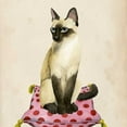 thumbnail image 3 of Popp, Grace 20x20 Black Modern Framed Museum Art Print Titled - Lady Cat II, 3 of 5