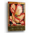 thumbnail image 1 of Epic Art 'Embellished Parrot Tulip II' by Tim O'Toole, Acrylic Glass Wall Art, 12"x16", 1 of 2