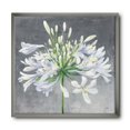 thumbnail image 2 of Designart Design Art Inc. Impression d'Art Encadrée Florale Traditionnelle 'Flower Cleome Splash I' - 16x16, 2 of 3
