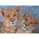 thumbnail image 1 of Taladro Diamante Pintura (DE3291) 5D DIY Bordado de punto de cruz completo (Animal-W175) 40x50cm Hugtrwg Para estrenar, 1 of 1
