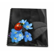 3dRose Ladybug and Forget Me Not Flowers - Mini Notepad, 4 by 4-inch