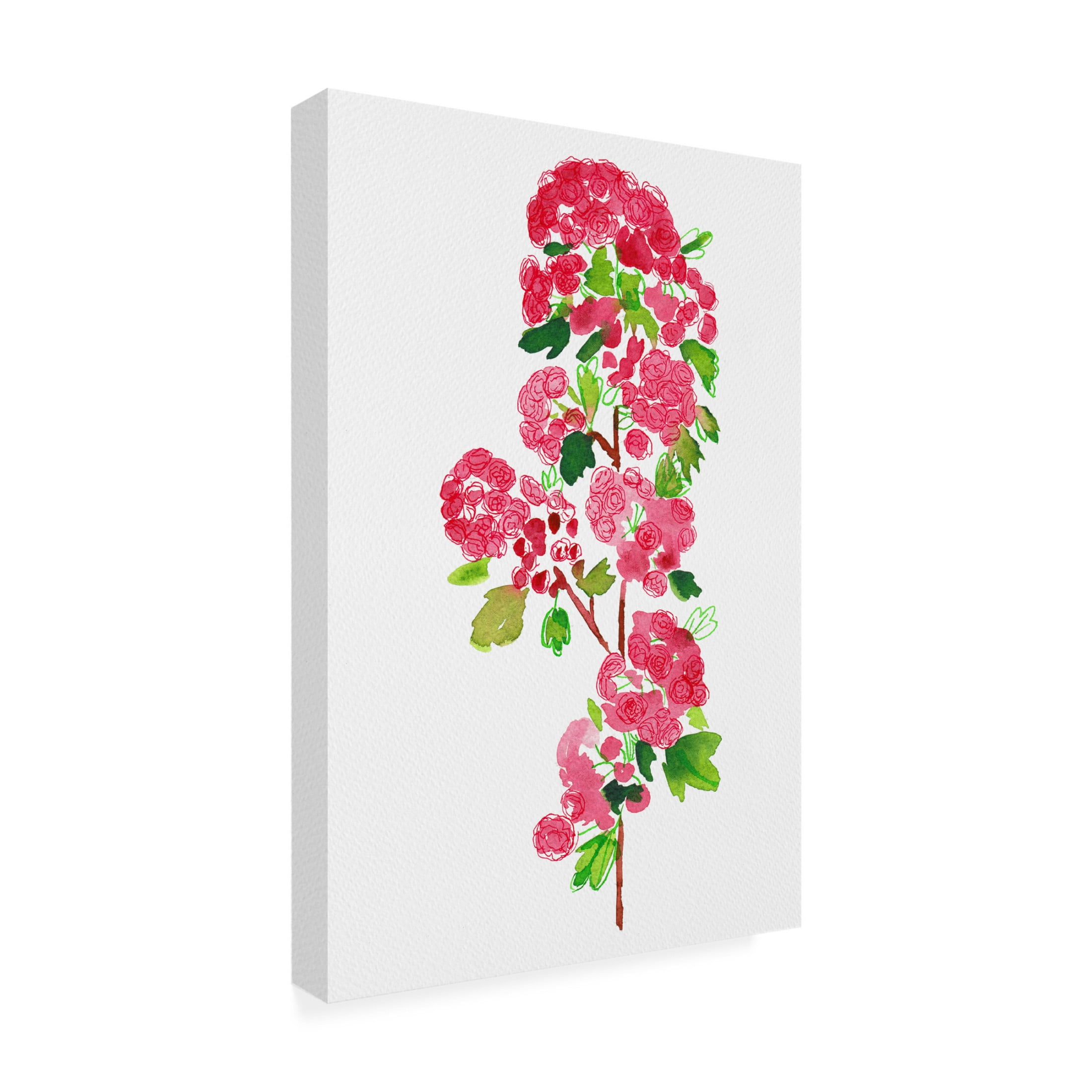 Trademark Fine Art Kata Botanical  Paul's Scarlet' botanical painting Canvas Wall Art