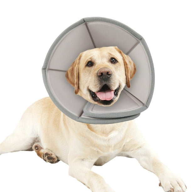 Dog neck cone walmart hotsell