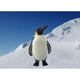 thumbnail image 2 of 2pcs Sculpture Penguin Statue Garden Decor Photo Props, 2 of 9