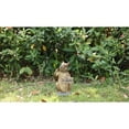 thumbnail image 3 of Hi-Line Gifts 9.25" Squirrel Holding Go Away Sign Outdoor Garden Statue, 3 of 5