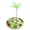 Green with feathers, variant on HAHUT 2-in-1 Cat Treat Puzzle Feeder for Pet Lovers, Intelligence Interactive Cat Turntable Food Dispenser, Non-Slip Base, Mental Stimulation for Bored Indoor Cats (Green)