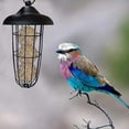 thumbnail image 3 of Comedero para pájaros al aire libre, comedero para pájaros salvajes, comedero para pájaros con bolas colgantes, comedero para pájaros, para decoración de jardín al aire libre, 3 of 4