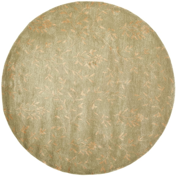 SAFAVIEH Soho Arthur Floral Area Rug, Sage/Rust, 6' x 6' Round