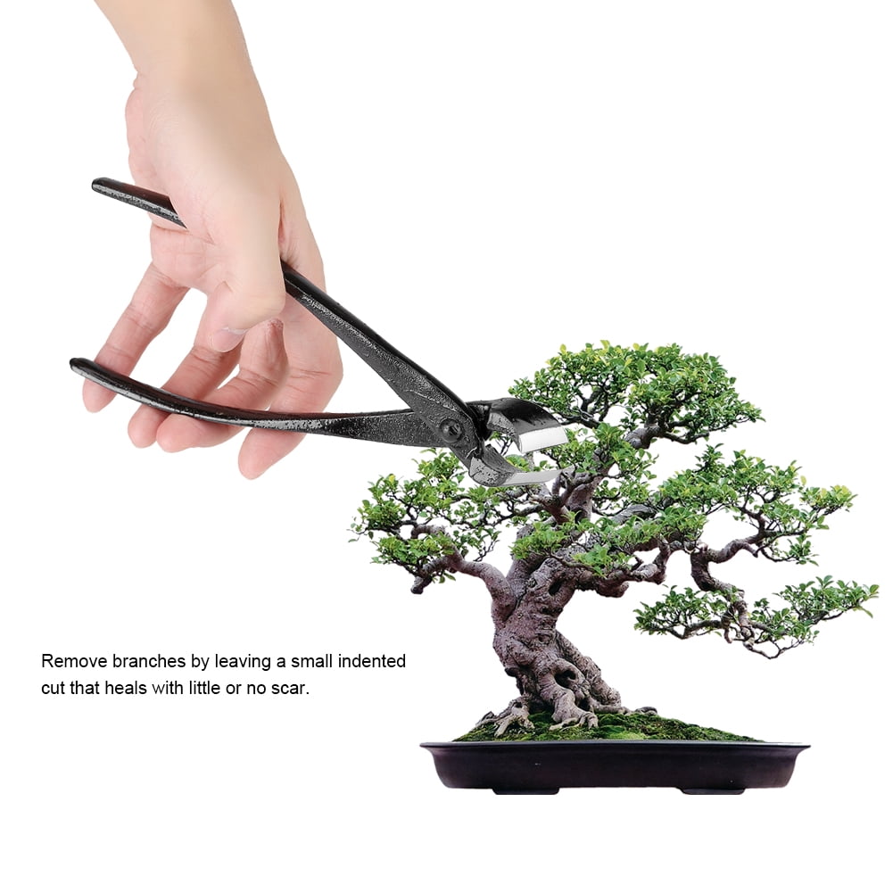 LHCER 205mm Professional Garden Branch Cutter Beginner Bonsai Tools