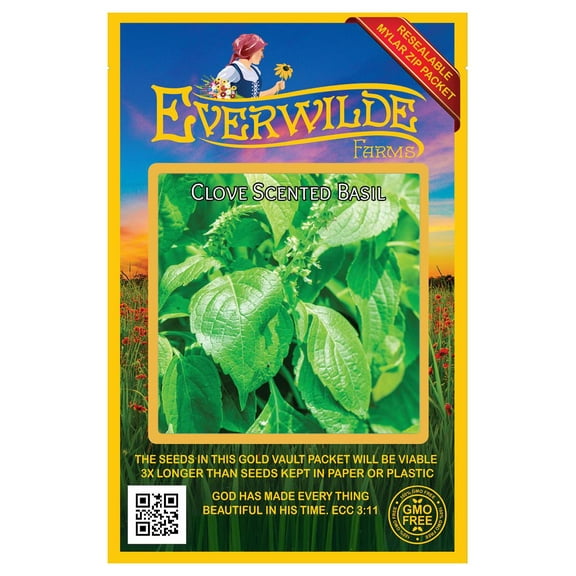 Everwilde Farms - 2000 Clove Scented Basil Herb Seeds - Gold Vault Jumbo Bulk Seed Packet